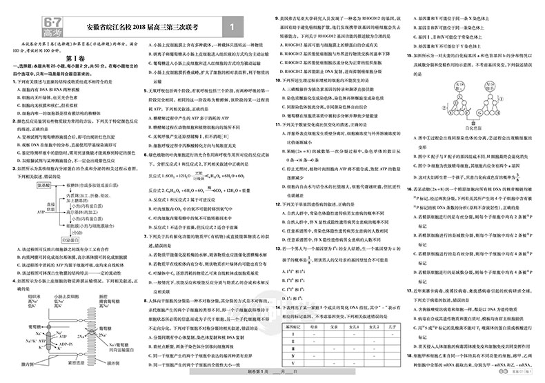 2019新課標(biāo)全國(guó)卷高考必刷卷生物42套參考答案