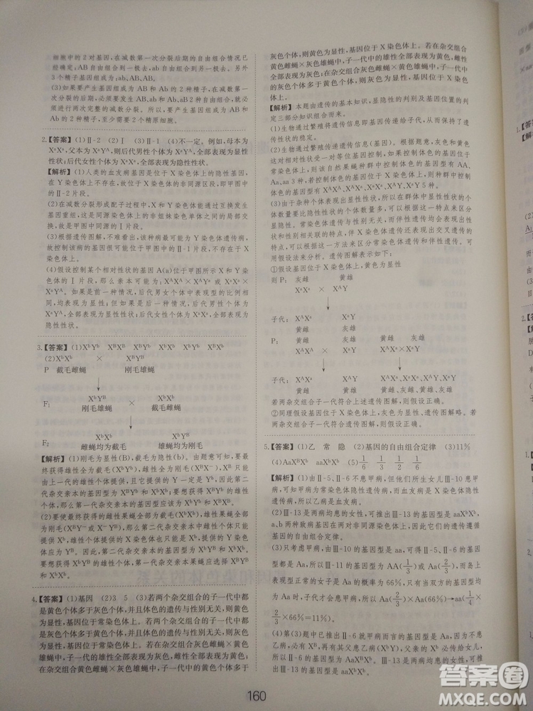 愛學(xué)習(xí)刷題狗高考生物參考答案