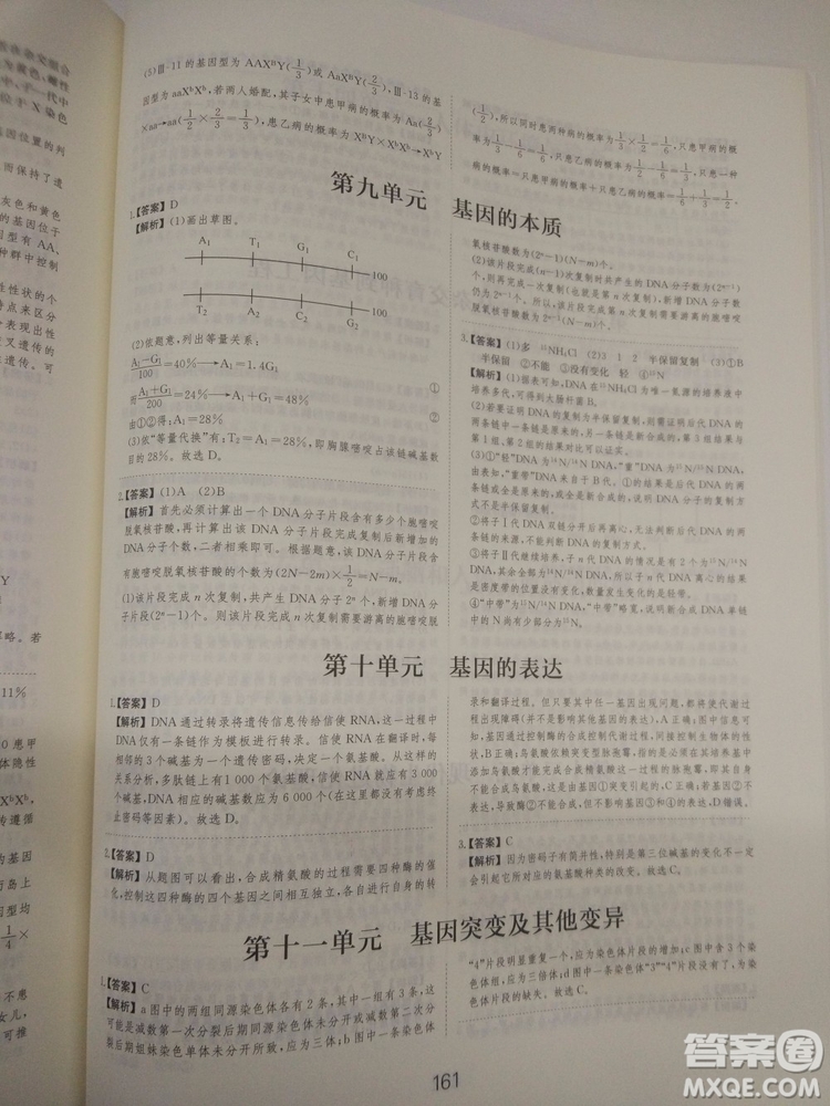 愛學(xué)習(xí)刷題狗高考生物參考答案