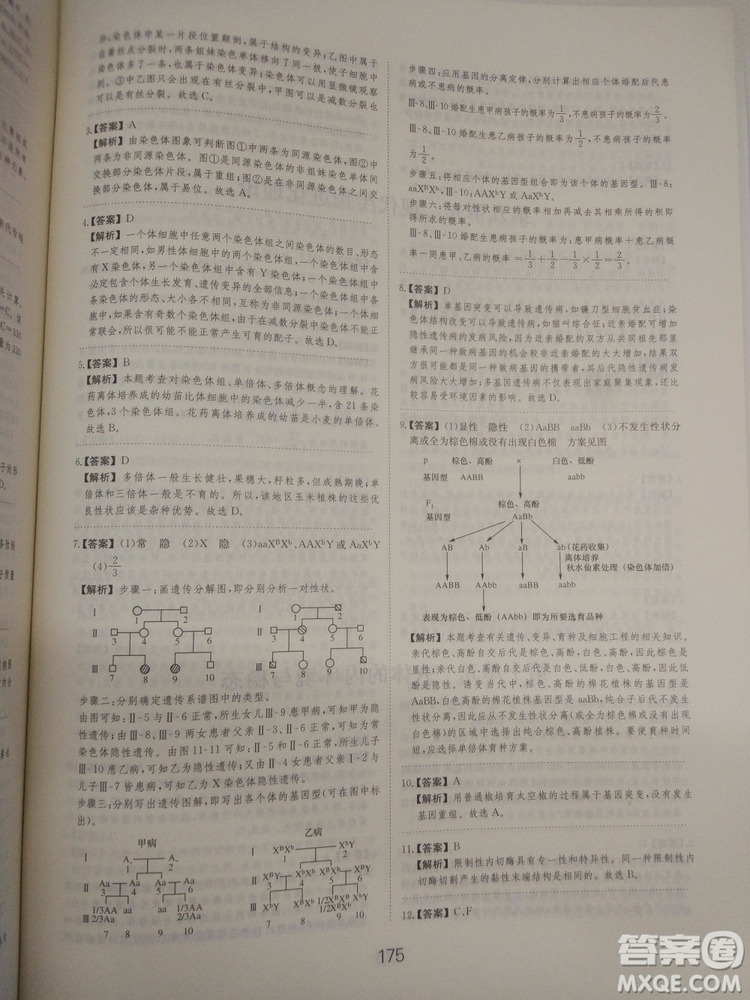 愛學(xué)習(xí)刷題狗高考生物參考答案