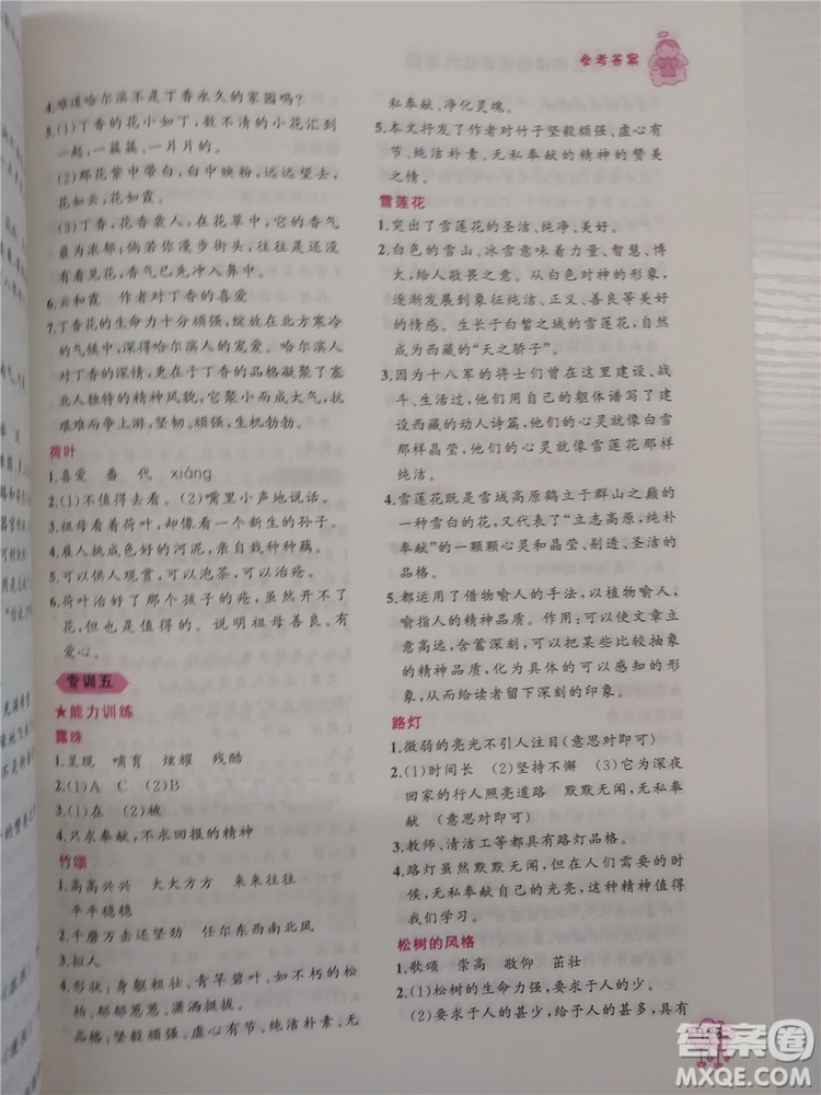 2018版老蔡幫小學(xué)語(yǔ)文閱讀績(jī)優(yōu)訓(xùn)練6年級(jí)參考答案