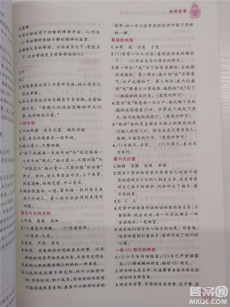 2018版老蔡幫小學(xué)語(yǔ)文閱讀績(jī)優(yōu)訓(xùn)練6年級(jí)參考答案