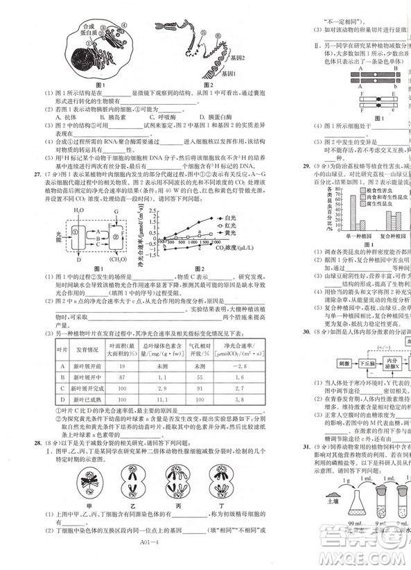 恩波教育2019新版江蘇高考模擬試卷匯編優(yōu)化28+2套生物答案