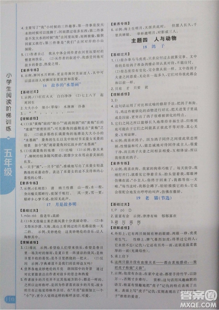 2019年新概念小學(xué)生閱讀階梯訓(xùn)練五年級全冊參考答案