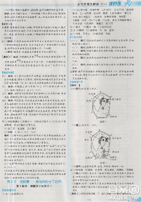 2018新版同步導(dǎo)學(xué)案課時練生物必修1人教版答案