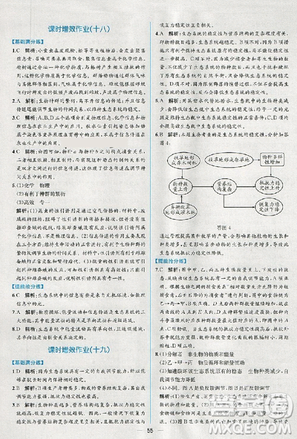 2018人教版同步導(dǎo)學案課時練生物必修3參考答案