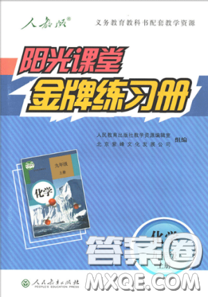 2018秋陽(yáng)光課堂金牌練習(xí)冊(cè)化學(xué)九年級(jí)上冊(cè)人教版答案