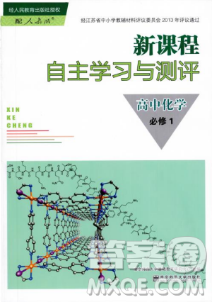 2018秋新課程自主學(xué)習(xí)與測評高中化學(xué)必修一人教版參考答案