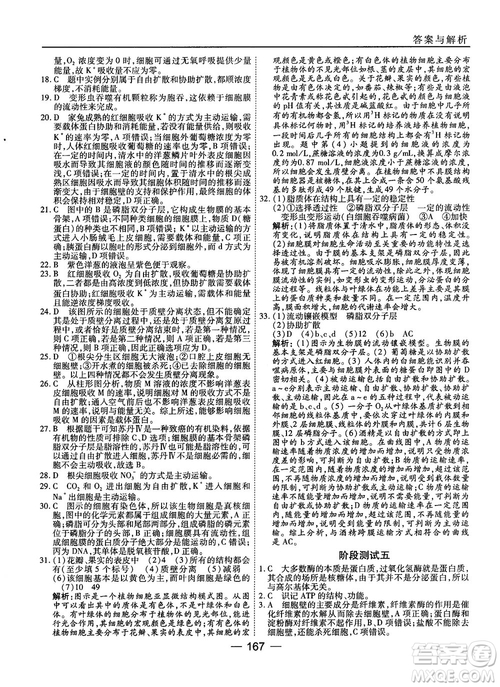 人教版45分鐘課時作業(yè)與單元測試高中生物必修1參考答案