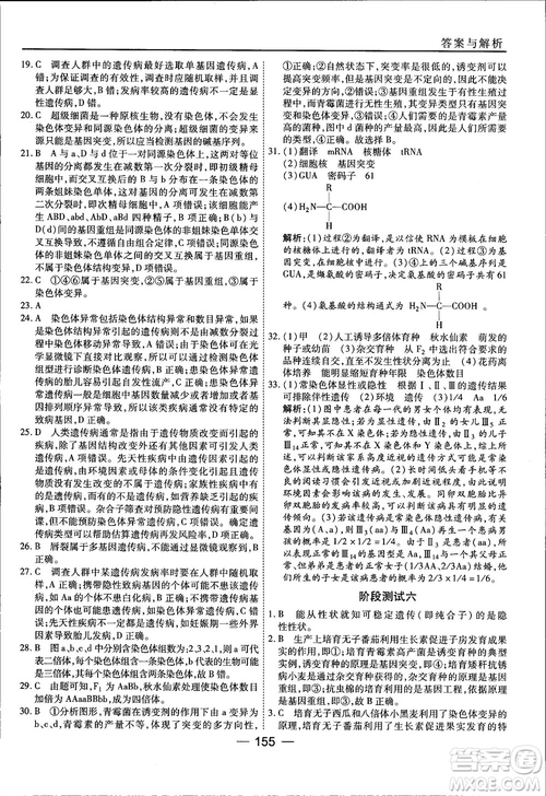 45分鐘課時作業(yè)與單元測試人教版高中生物必修2參考答案