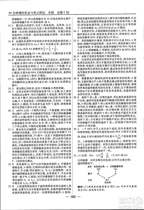 45分鐘課時作業(yè)與單元測試人教版高中生物必修2參考答案