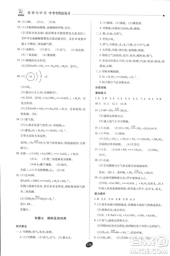 2018年資源與評(píng)價(jià)中考全程總復(fù)習(xí)化學(xué)D版參考答案