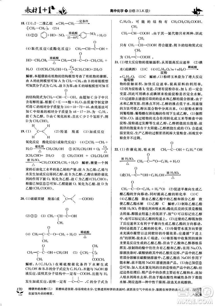 魯科版2018教材1+1高中化學(xué)必修2參考答案