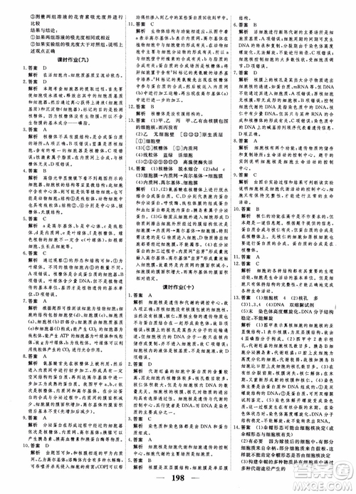 2019衡水重點中學高考調研同步精講精練新課標版生物必修1參考答案