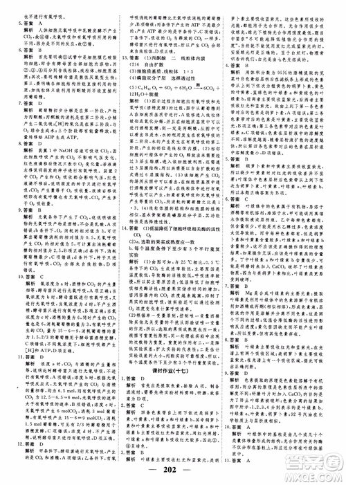 2019衡水重點中學高考調研同步精講精練新課標版生物必修1參考答案