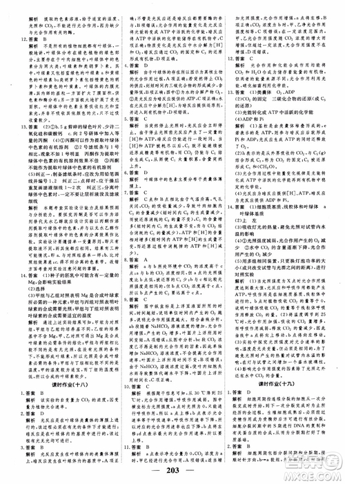 2019衡水重點中學高考調研同步精講精練新課標版生物必修1參考答案