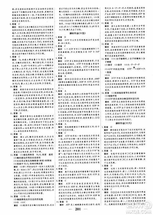 2019衡水重點中學高考調研同步精講精練新課標版生物必修1參考答案