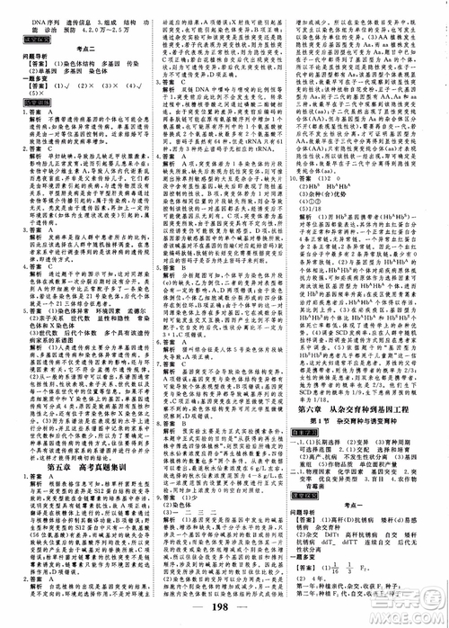 衡水重點中學高考調(diào)研2018同步精講精練新課標版生物必修2參考答案