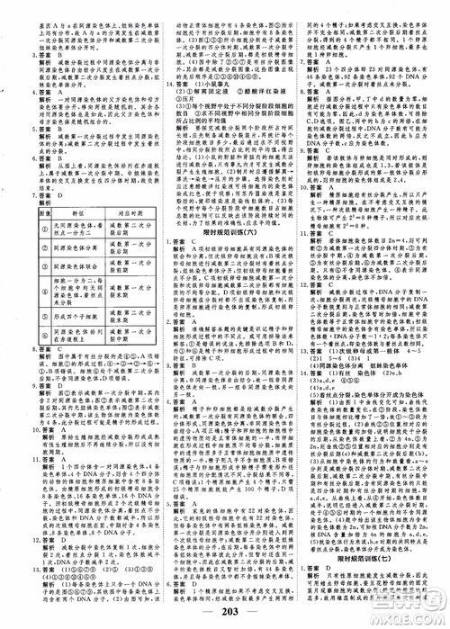 衡水重點中學高考調(diào)研2018同步精講精練新課標版生物必修2參考答案