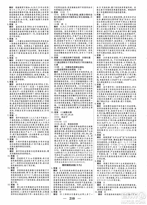 衡水重點中學高考調(diào)研2018同步精講精練新課標版生物必修2參考答案