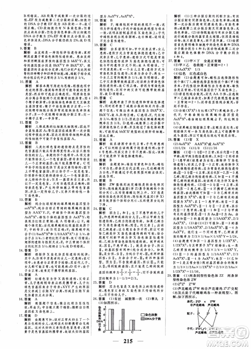 衡水重點中學高考調(diào)研2018同步精講精練新課標版生物必修2參考答案