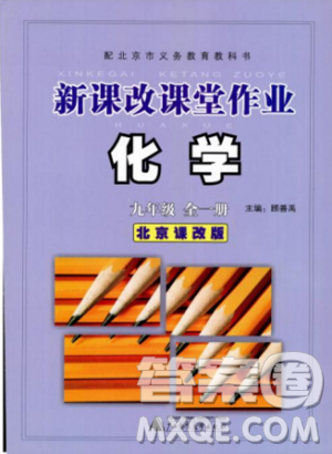 2018版新課改課堂作業(yè)化學九年級全一冊北京課改版答案