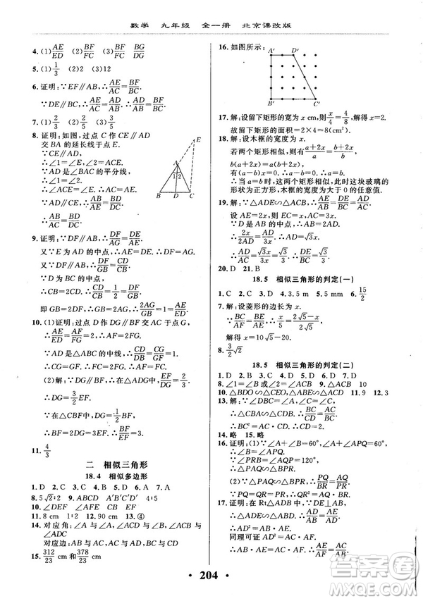 2018版新課改課堂作業(yè)九年級數(shù)學(xué)全一冊北京課改版參考答案