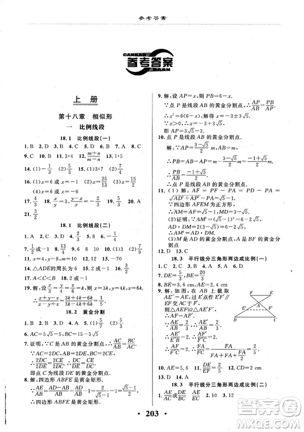 2018版新課改課堂作業(yè)九年級數(shù)學(xué)全一冊北京課改版參考答案