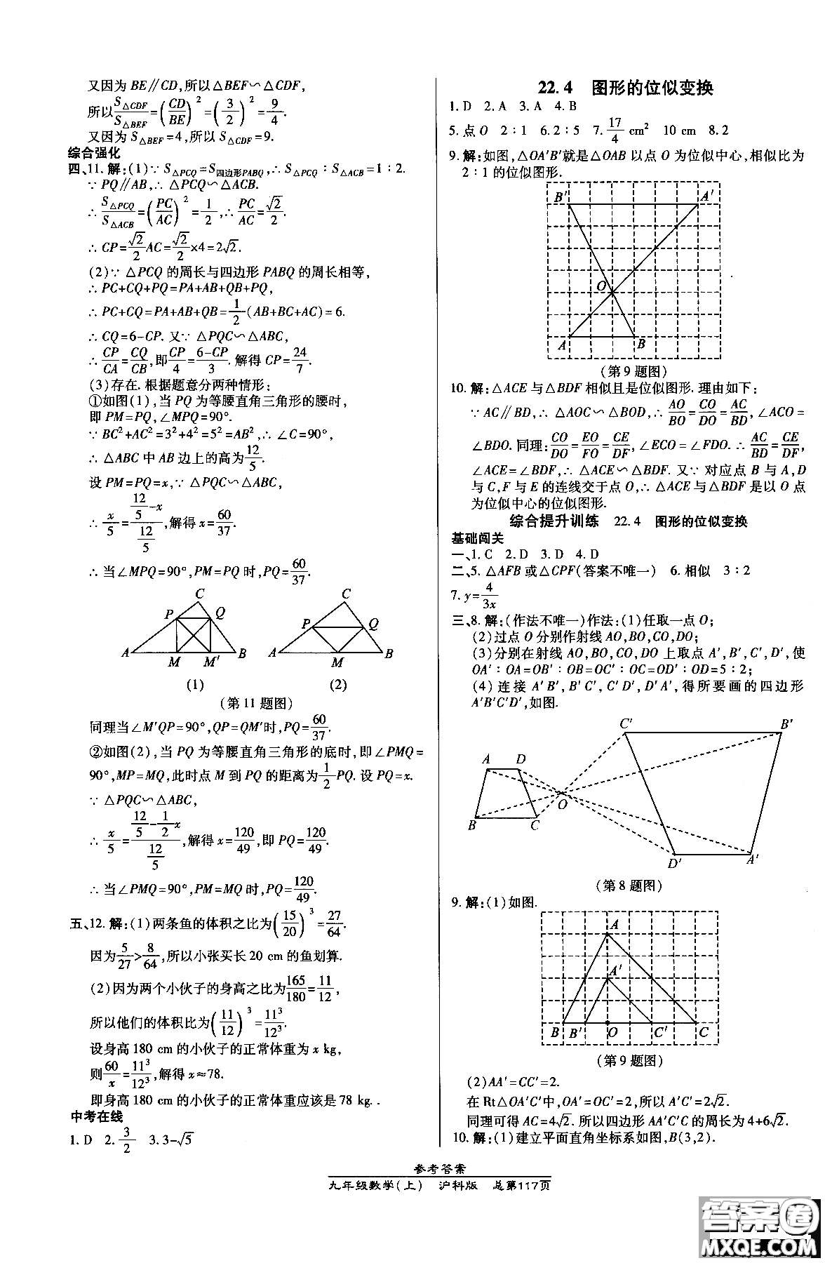 9787513109437高效課時(shí)通九年級(jí)數(shù)學(xué)滬科版上冊(cè)2019版參考答案