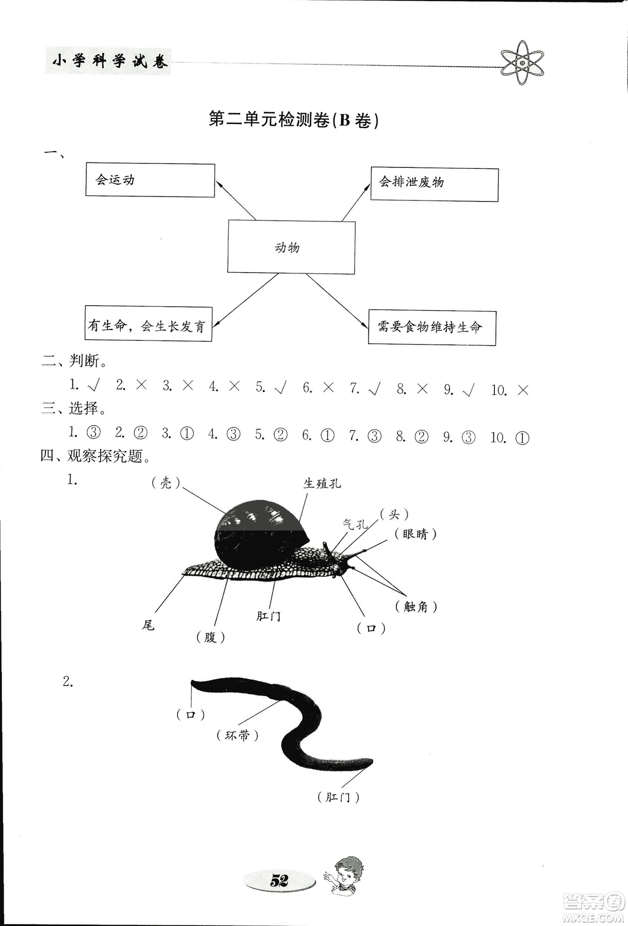 2018秋教科版金鑰匙小學(xué)科學(xué)試卷三年級上冊參考答案