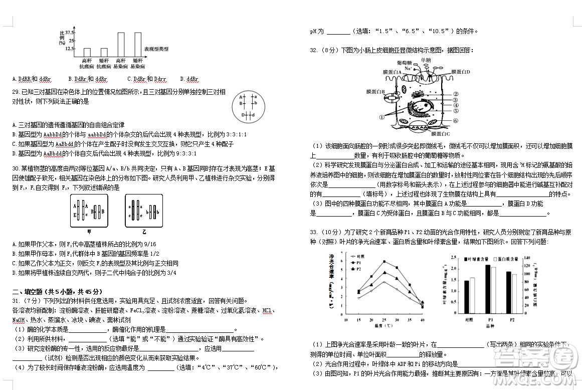 2019屆荊荊襄宜四地七?？荚嚶?lián)盟高三10月聯(lián)考生物答案