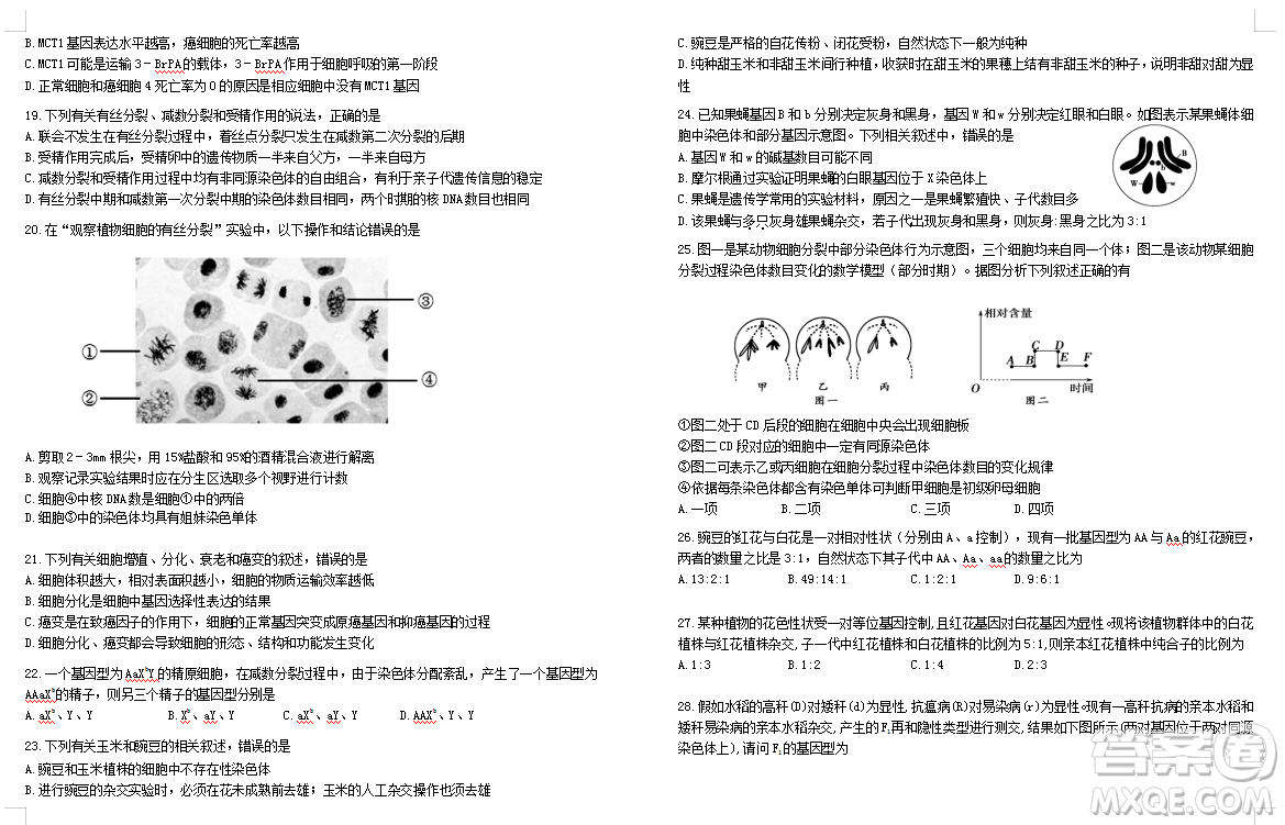 2019屆荊荊襄宜四地七?？荚嚶?lián)盟高三10月聯(lián)考生物答案