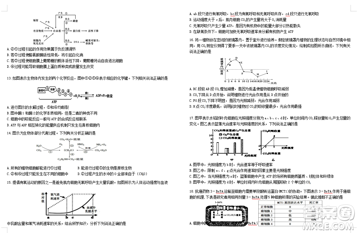 2019屆荊荊襄宜四地七?？荚嚶?lián)盟高三10月聯(lián)考生物答案