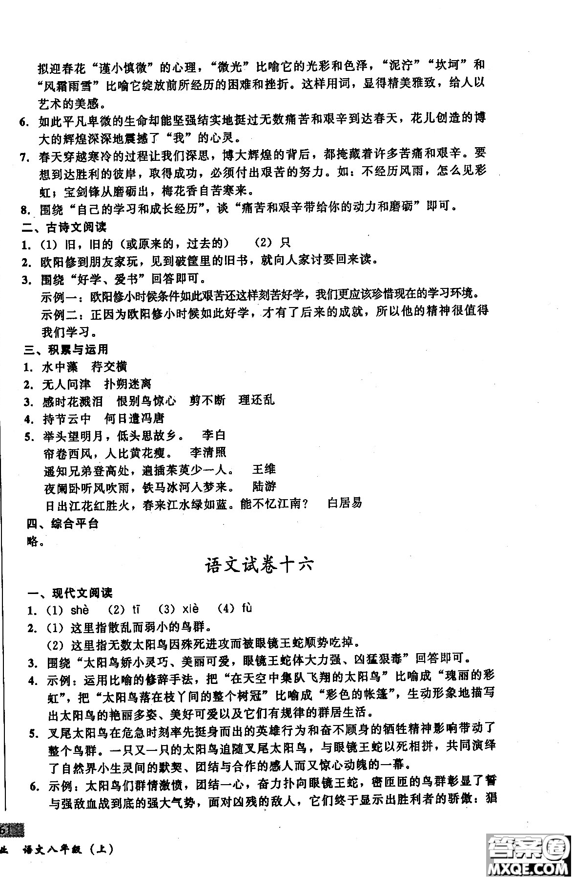 2018年無敵戰(zhàn)卷課時作業(yè)八年級語文上冊通用版答案