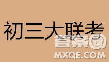 長郡中學(xué)2018-2019學(xué)年度初三第二次限時檢測政治試題及參考答案