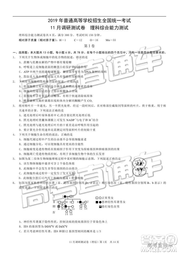 2019重慶市普通高等學(xué)校招生全國統(tǒng)一考試11月調(diào)研測試?yán)砭C試題及參考答案