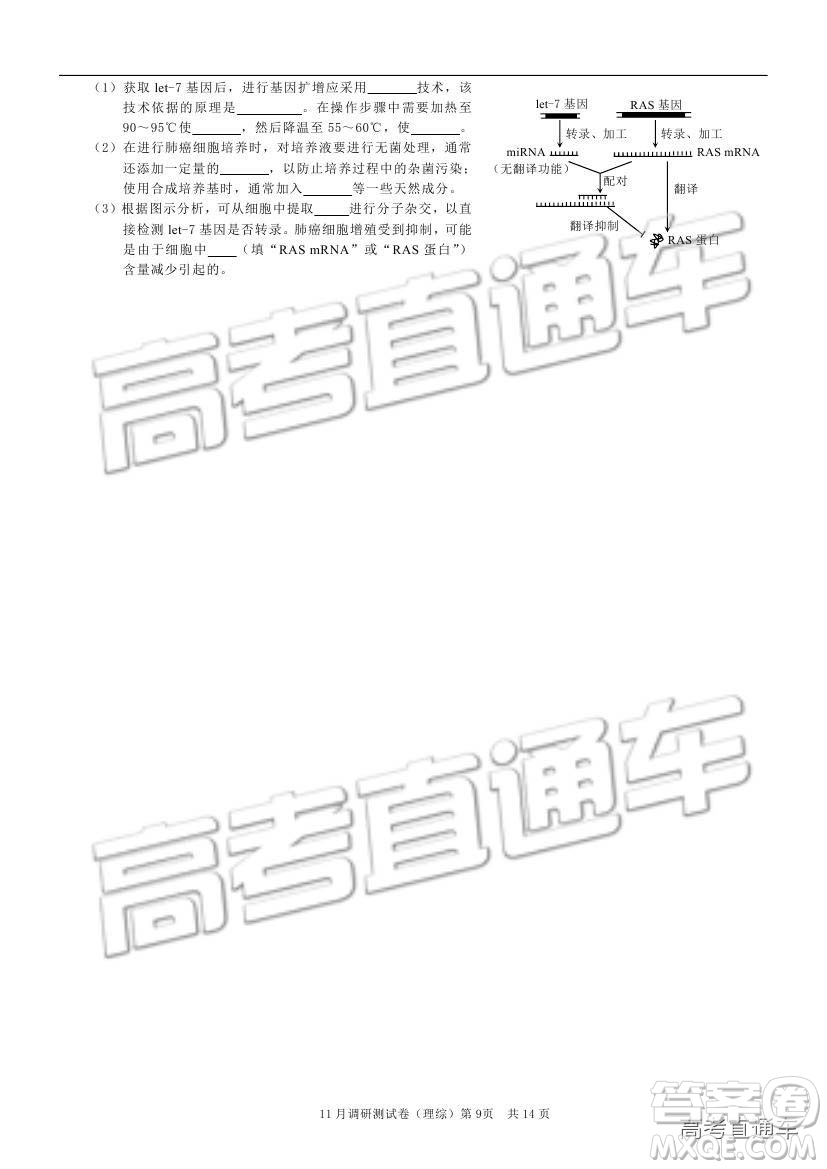 2019重慶市普通高等學(xué)校招生全國統(tǒng)一考試11月調(diào)研測試?yán)砭C試題及參考答案