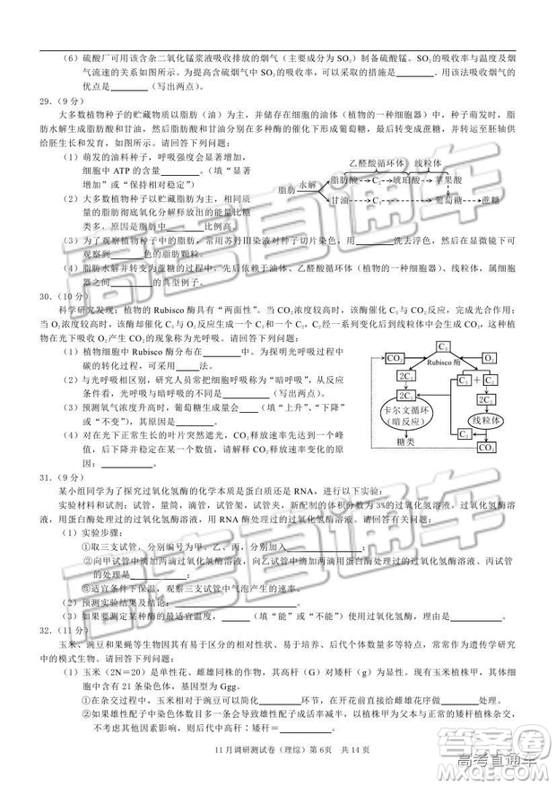 2019重慶市普通高等學(xué)校招生全國統(tǒng)一考試11月調(diào)研測試?yán)砭C試題及參考答案