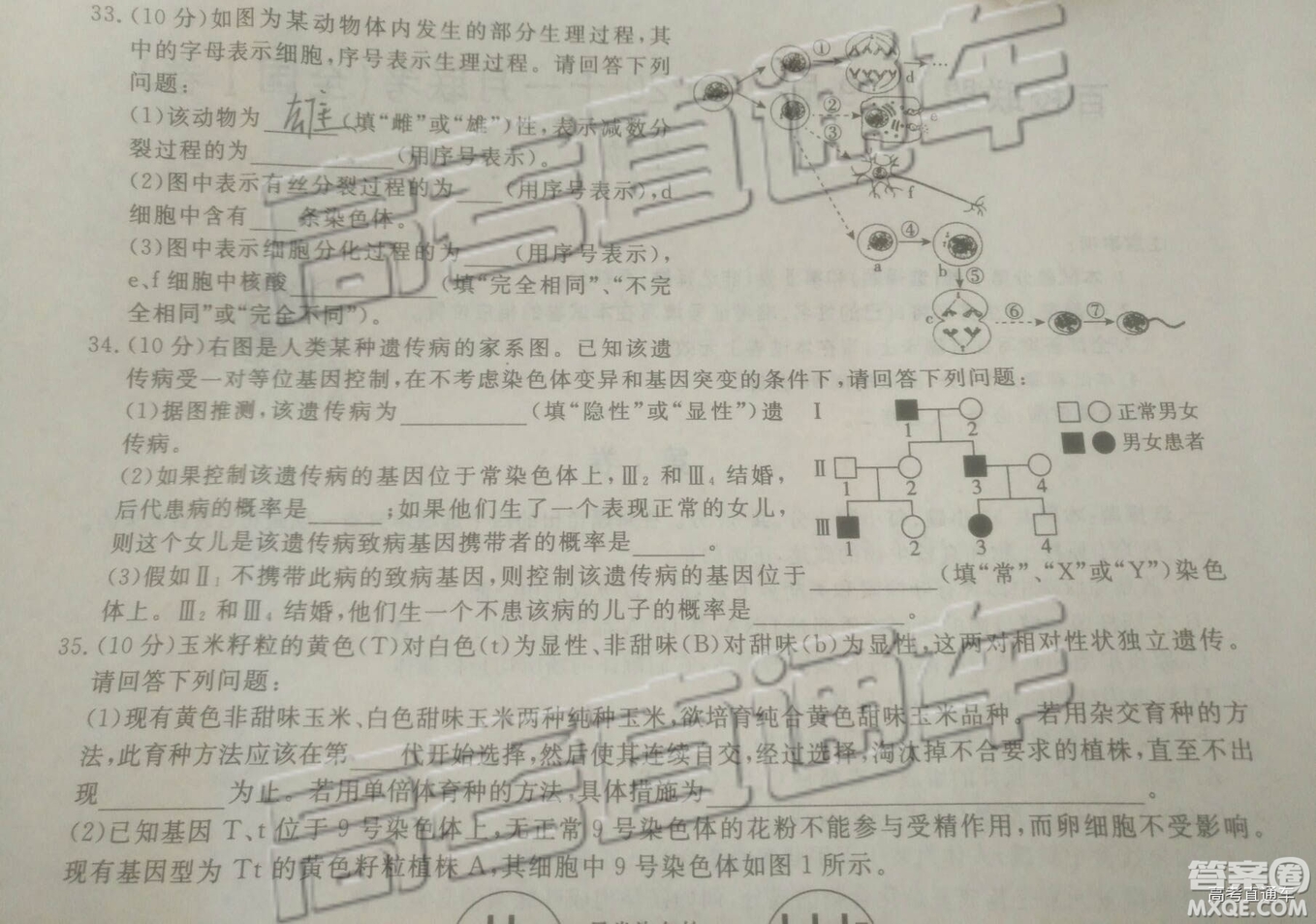 2019百校聯(lián)盟TOP20十一月聯(lián)考高三全國Ⅰ卷生物試題及參考答案