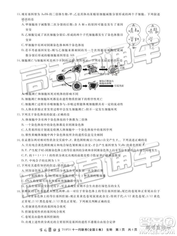 百校聯(lián)盟2019屆TOP20十一月高三聯(lián)考全國Ⅱ卷生物試題及參考答案