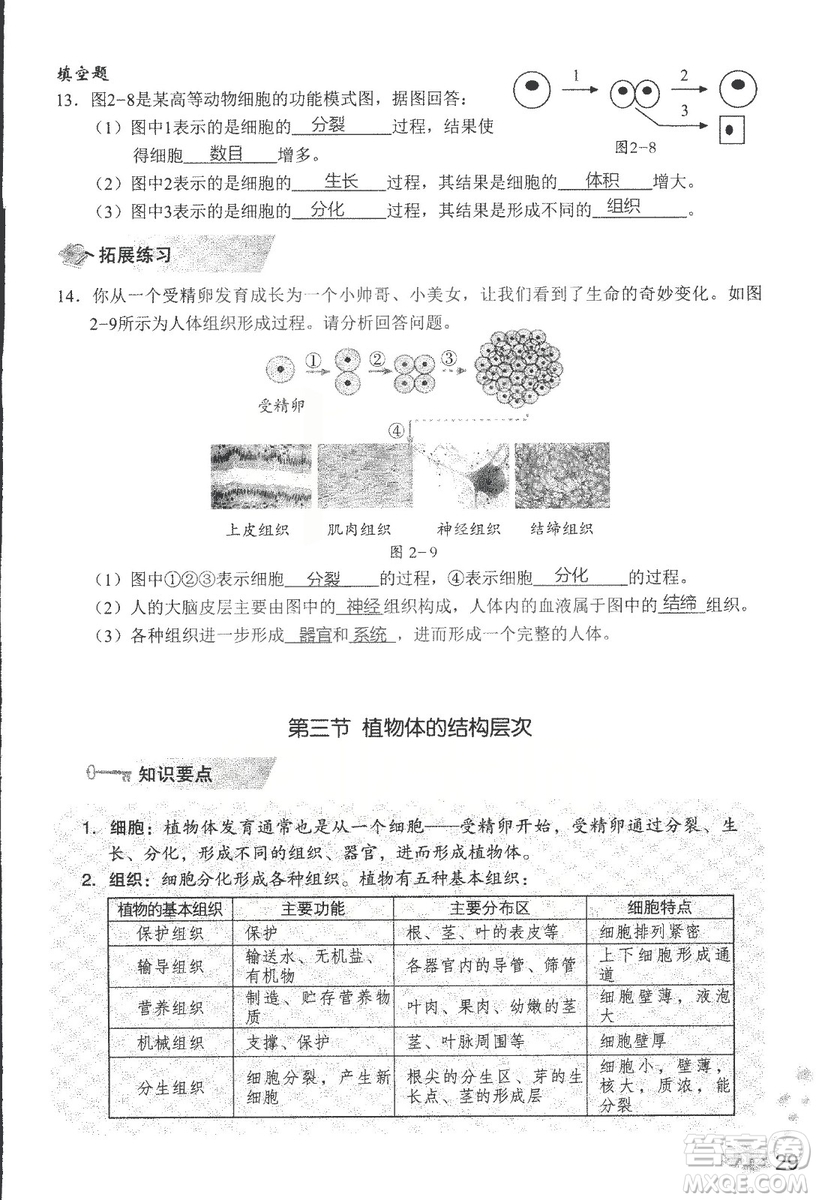 2018秋知識與能力訓練生物學七年級上冊人教版答案