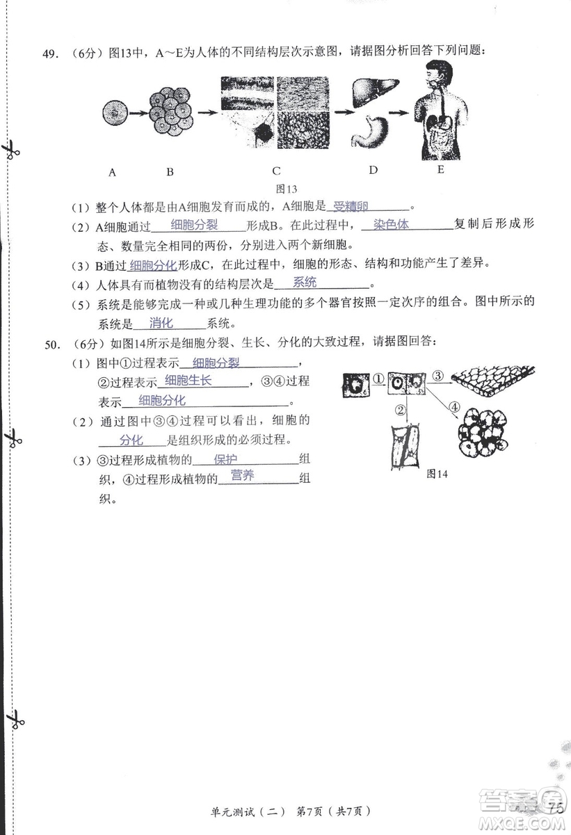 2018秋知識與能力訓練生物學七年級上冊人教版答案