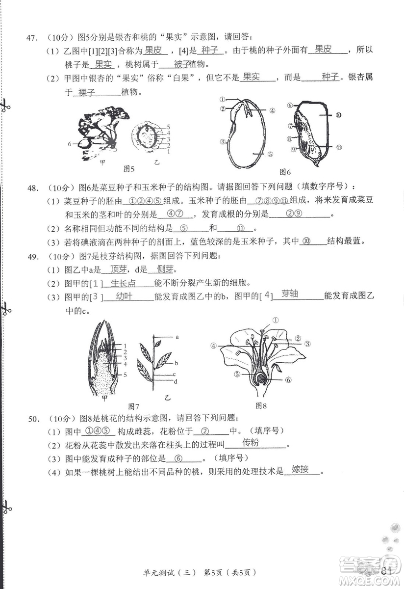 2018秋知識與能力訓練生物學七年級上冊人教版答案