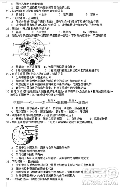 2018-2019學(xué)年江蘇省江陰四校高一上學(xué)期期中考試生物試題答案