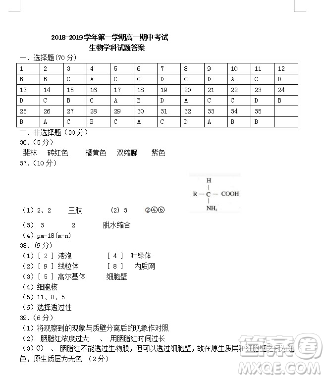 2018-2019學(xué)年江蘇省江陰四校高一上學(xué)期期中考試生物試題答案