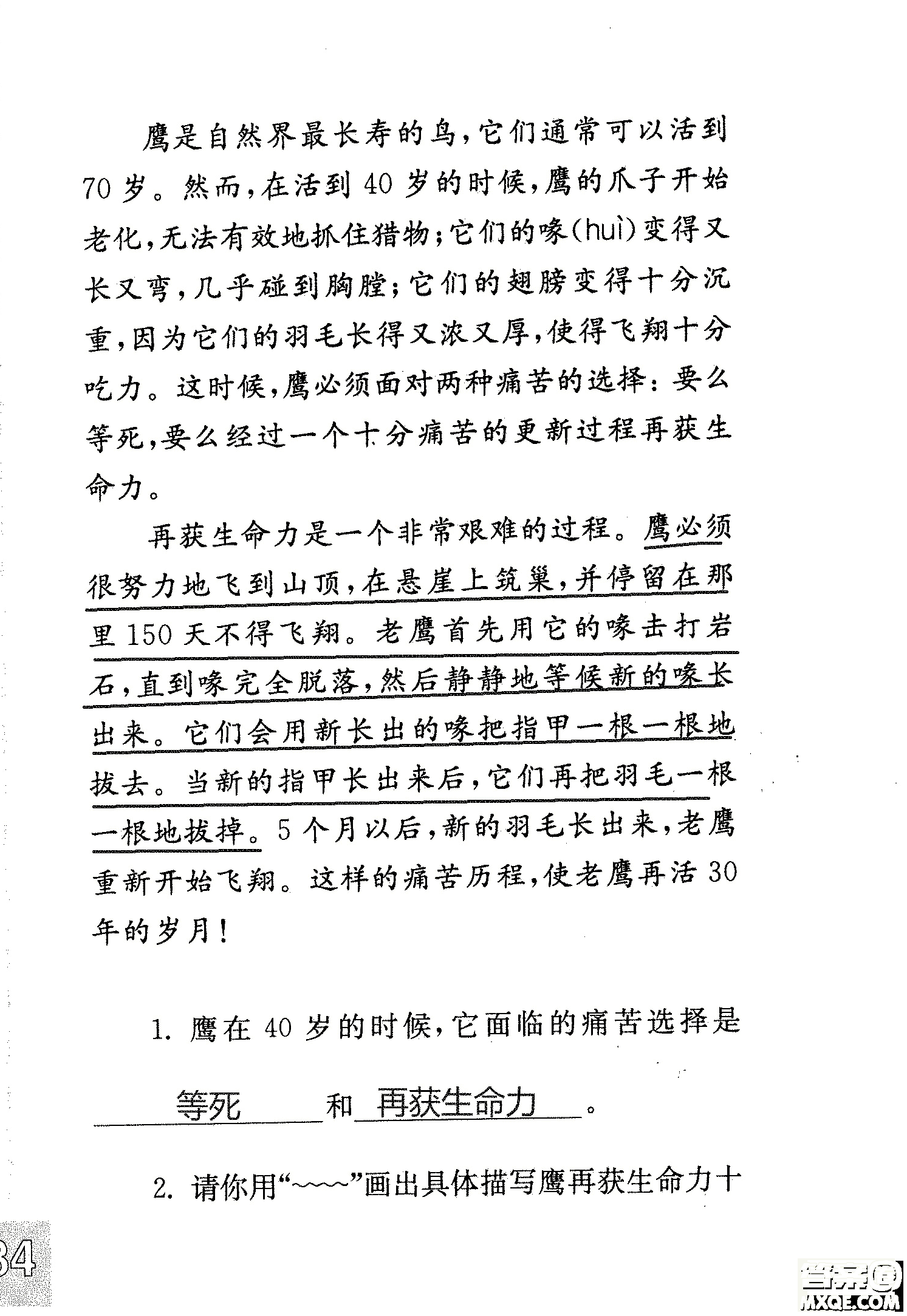 2018年鳳凰教育練習(xí)與測(cè)試四年級(jí)上冊(cè)語(yǔ)文江蘇版參考答案