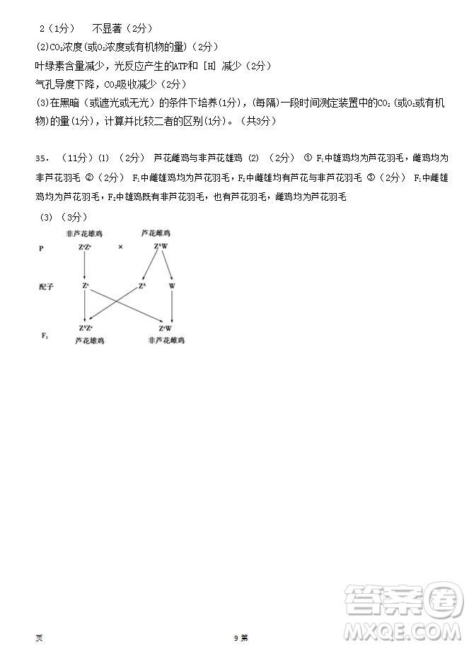 2019屆福建省泉州市泉港一中南安市國光中學(xué)高三上學(xué)期期中聯(lián)考試題生物答案