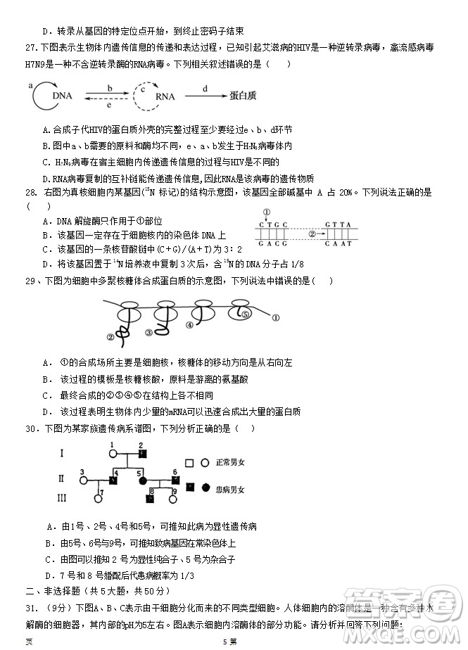 2019屆福建省泉州市泉港一中南安市國光中學(xué)高三上學(xué)期期中聯(lián)考試題生物答案