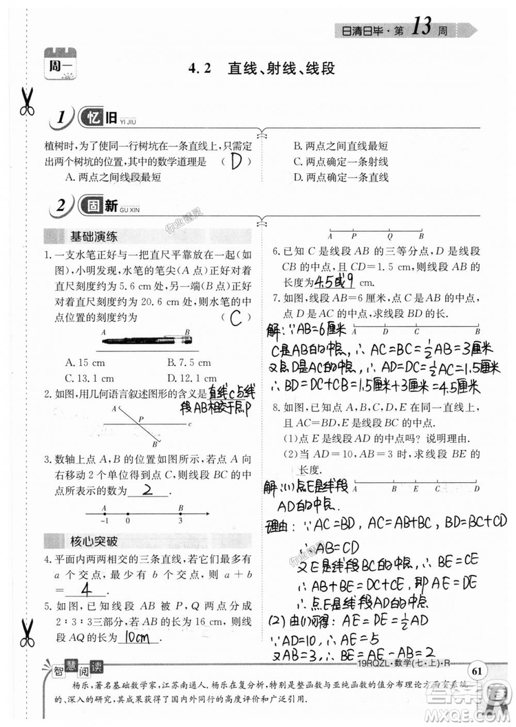 2019新版日清周練七年級數(shù)學(xué)上冊人教版參考答案