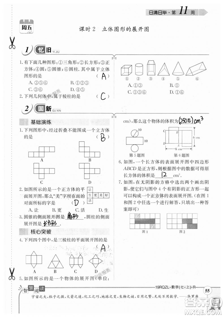 2019新版日清周練七年級數(shù)學(xué)上冊人教版參考答案